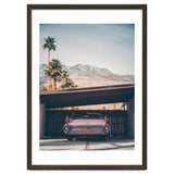 Palm Springs Pink thumbnail