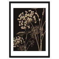 Wildflowers I