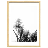 Miminalist Palm thumbnail