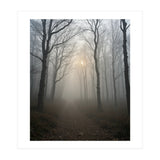 Ethereal Morning Light Breaking Through Dense Forest Fog (Print Only) thumbnail