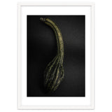 Gourds No 9 Color Version thumbnail