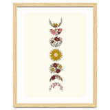 Floral Phases Of The Moon thumbnail