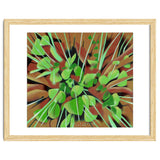 Meadow at spring thumbnail