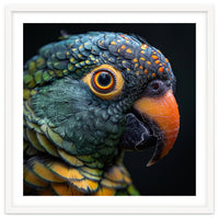 Close Up Of A Colorful Parrot's Face