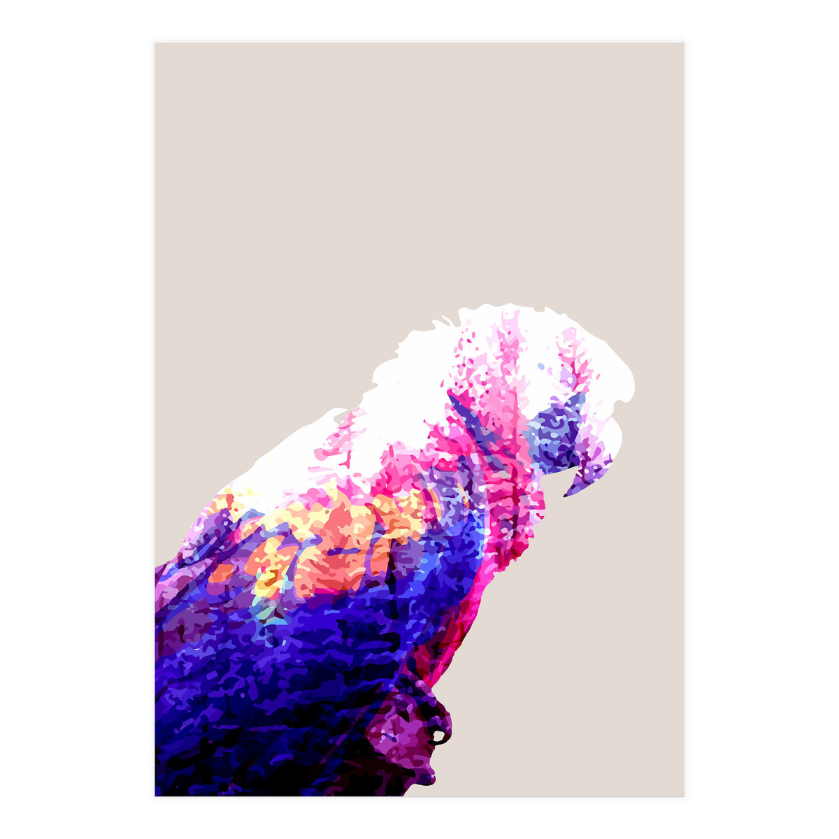 Macaw (Print Only)