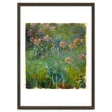 Claude Monet (1840-1926). Agapanthus. thumbnail