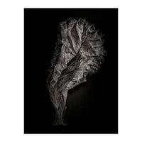 Leaves No 9 (Print Only)