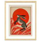 Hare And The Red Sun thumbnail