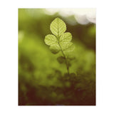 Out of the green (Print Only) thumbnail