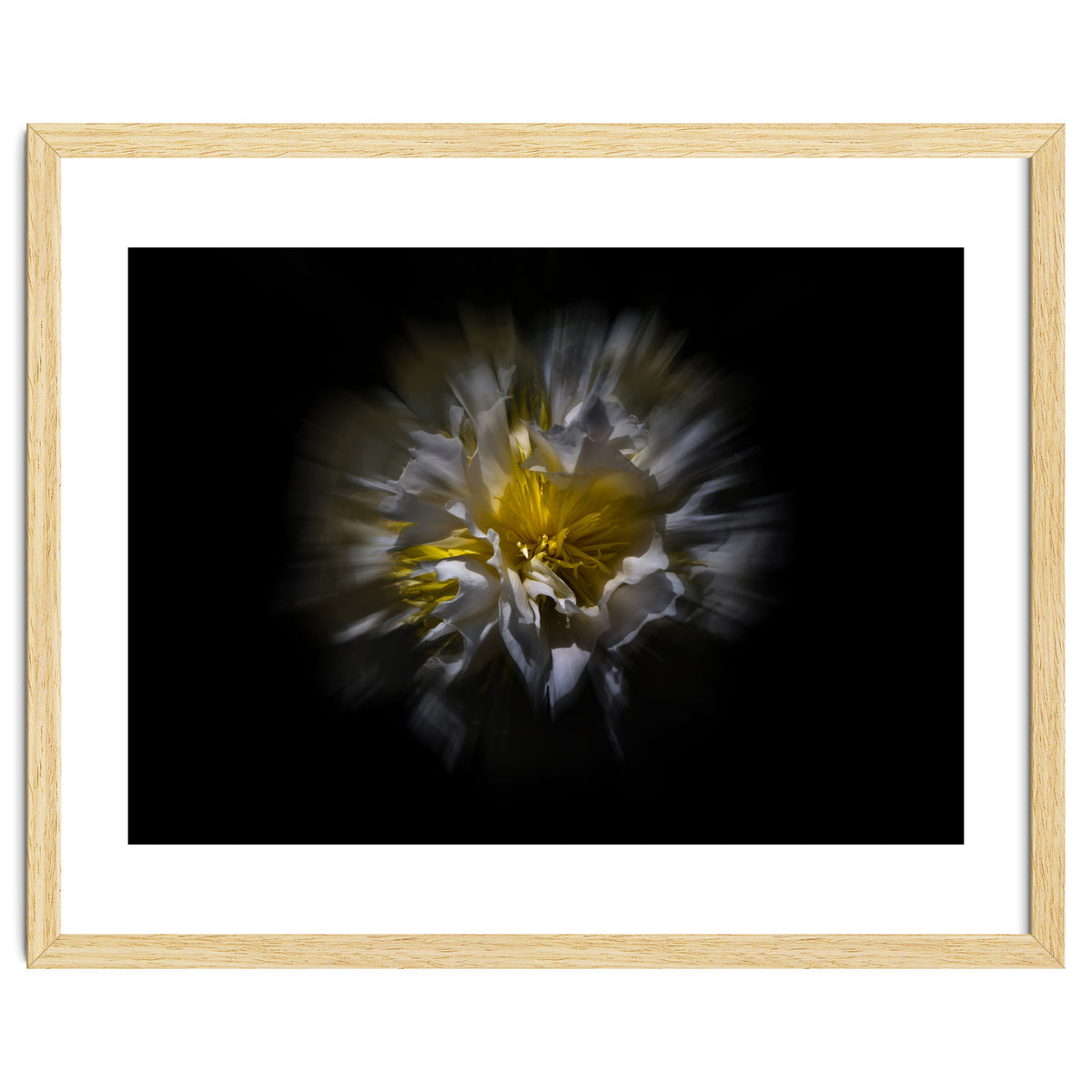 Backyard Flowers No 25 Color Flow Version