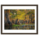 Heron in the swamps thumbnail