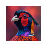 Close Up Pheasant Bird Head Detailed Feathers (Print Only) thumbnail