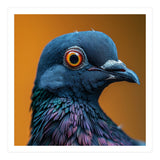 Close Up Of A Pigeon's Head And Neck (Print Only) thumbnail