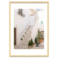 Stairs with cacti