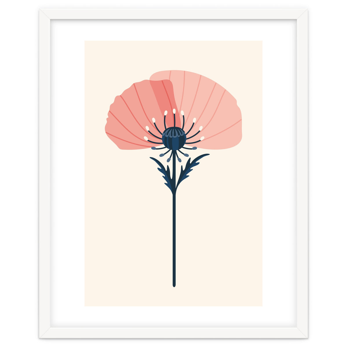 Pink Half Poppy