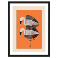 Tangerine Flamingos