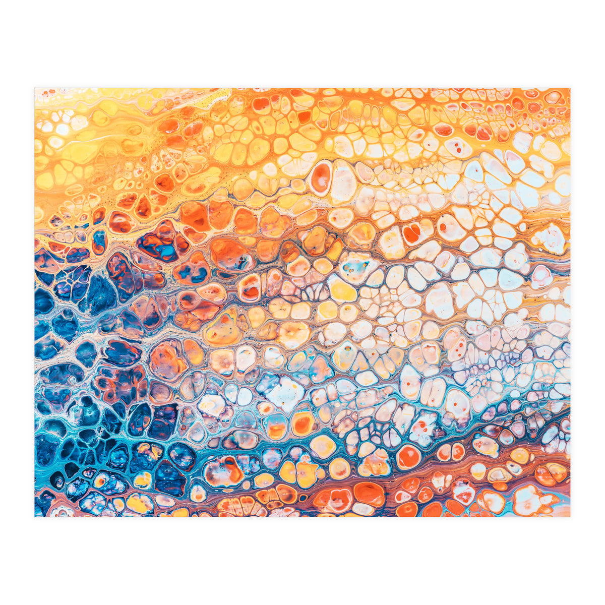 The Bright Side (Print Only)