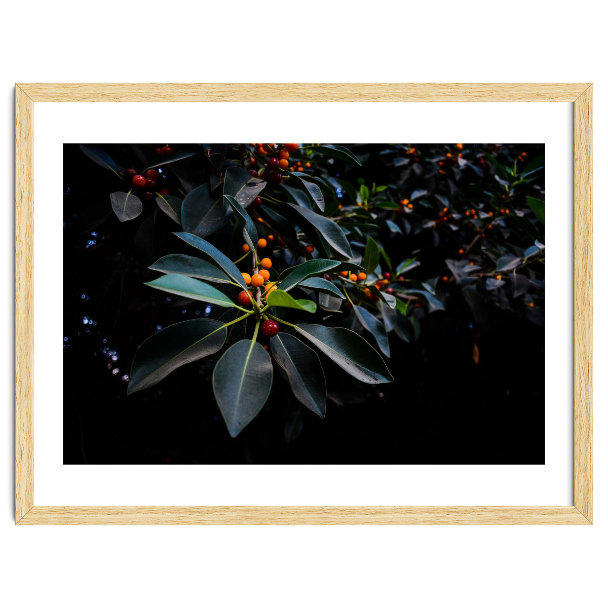 Orange, Green and Dark