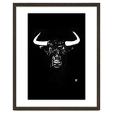 Toro thumbnail