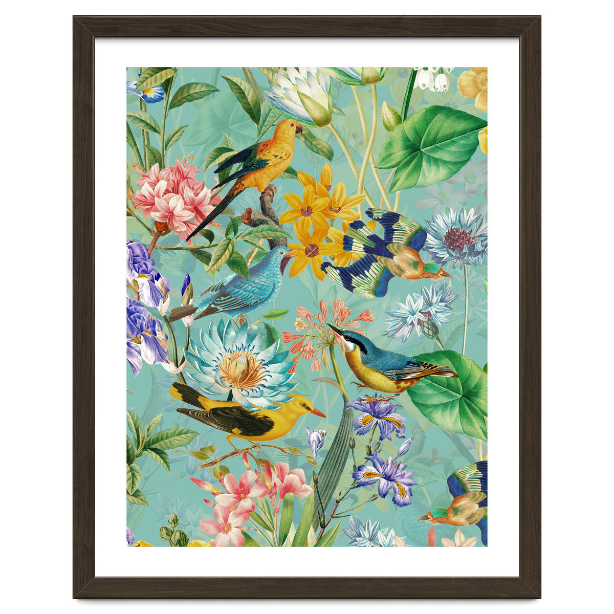 Birds In Tropical Jungle