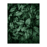 New Foliage Green Ii (Print Only) thumbnail