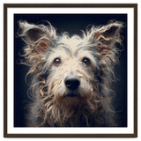 Old Dog 07 thumbnail