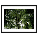 Light bulb among the trees in the summer forest thumbnail