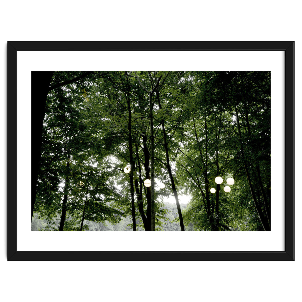Light bulb among the trees in the summer forest