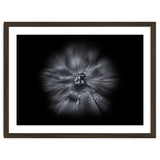 Backyard Flowers In Black And White No 66 Flow Version thumbnail