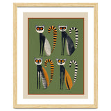 Striped Lemurs thumbnail