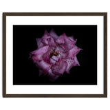 Backyard Flowers No 111 Color Version thumbnail