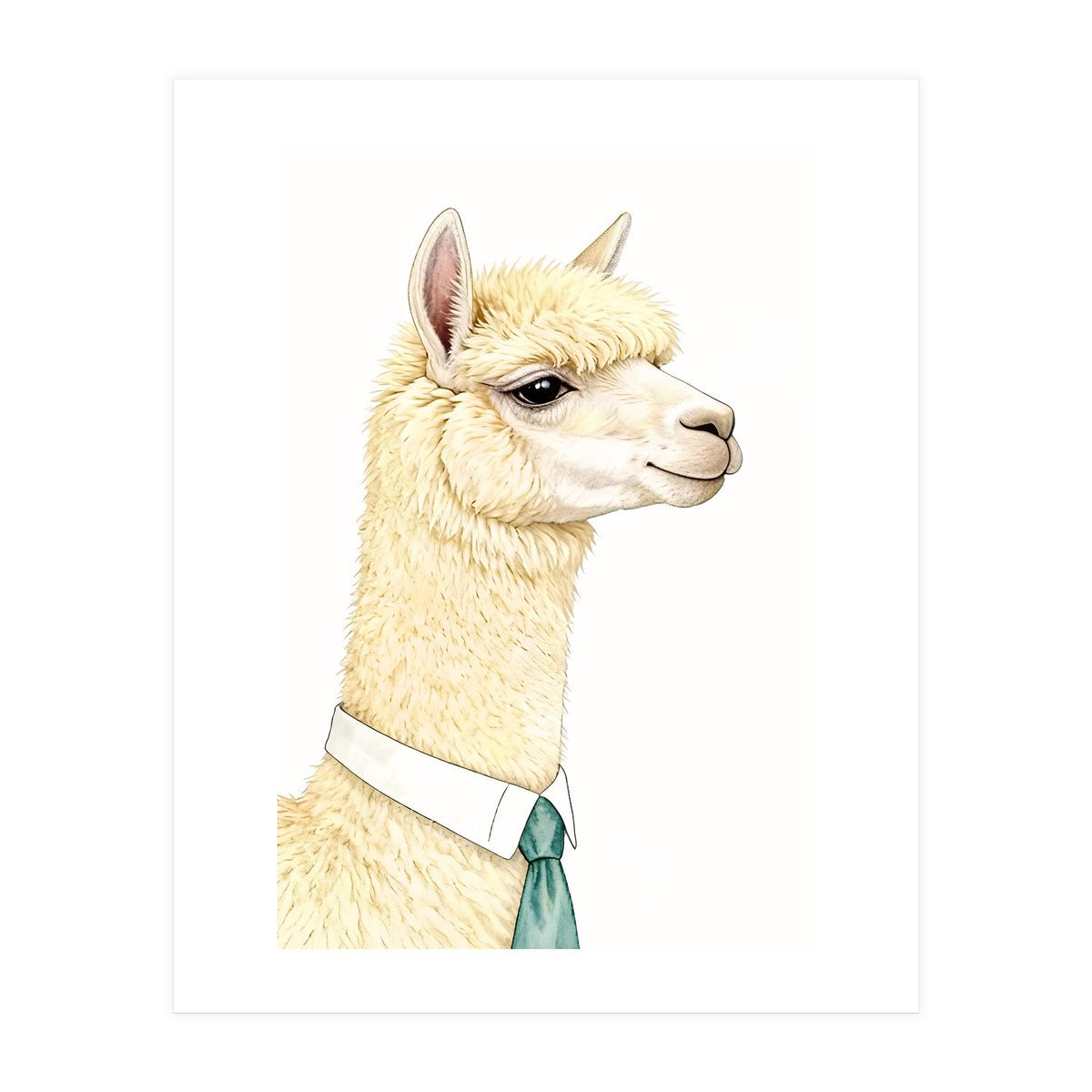 Alpaca  (Print Only)
