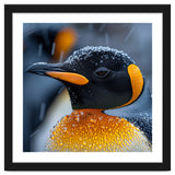 King Penguin Close Up In Snowfall thumbnail