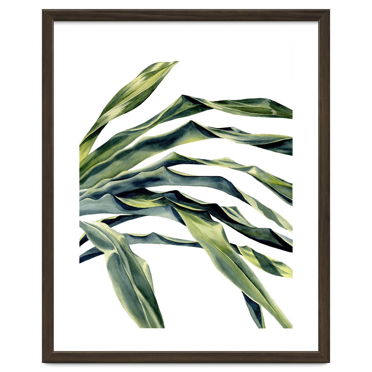 Green Palm Leaves