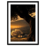 The Hill thumbnail