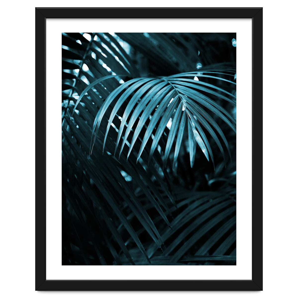 Blue Jungle Palm Ii
