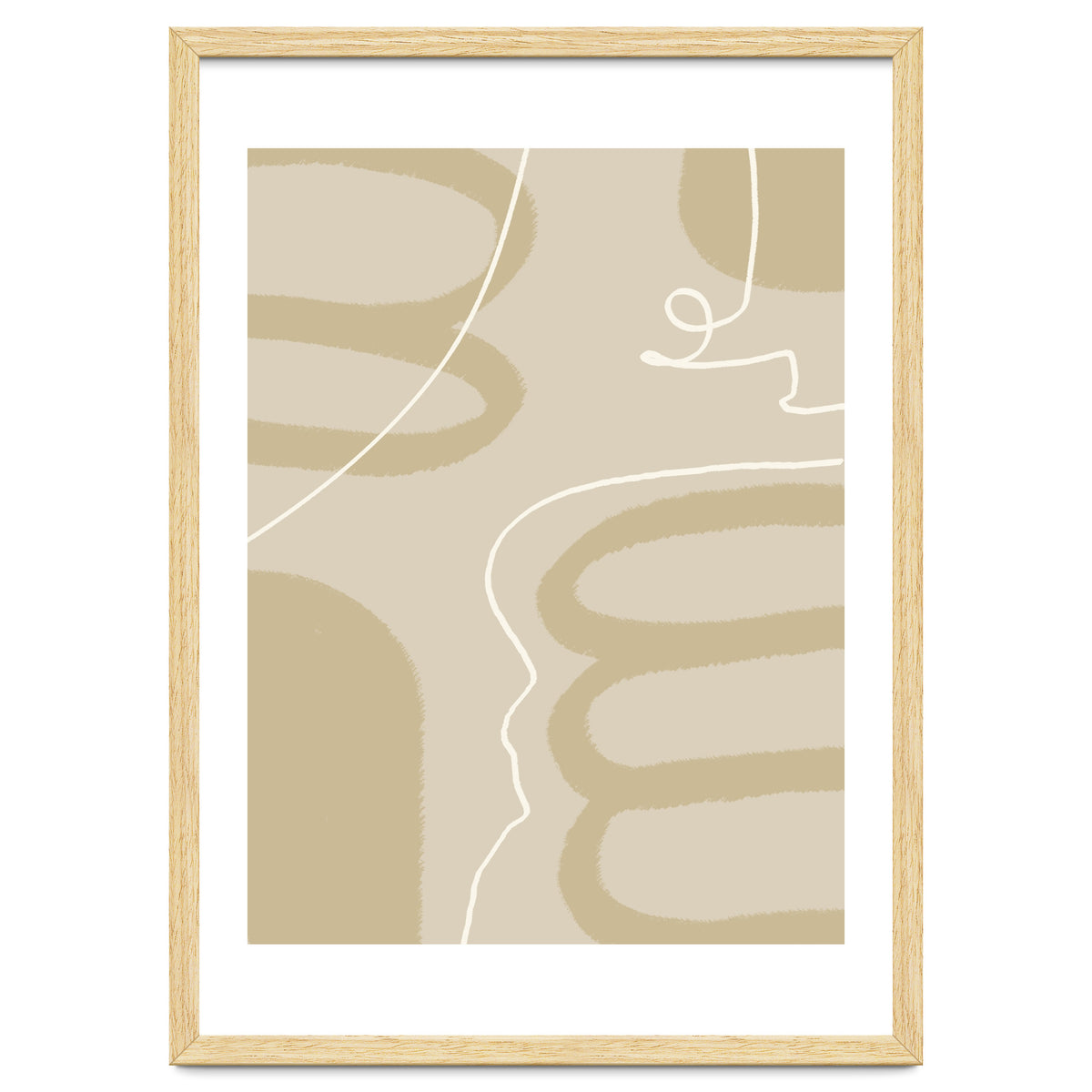 Harmony of Lines and Shapes