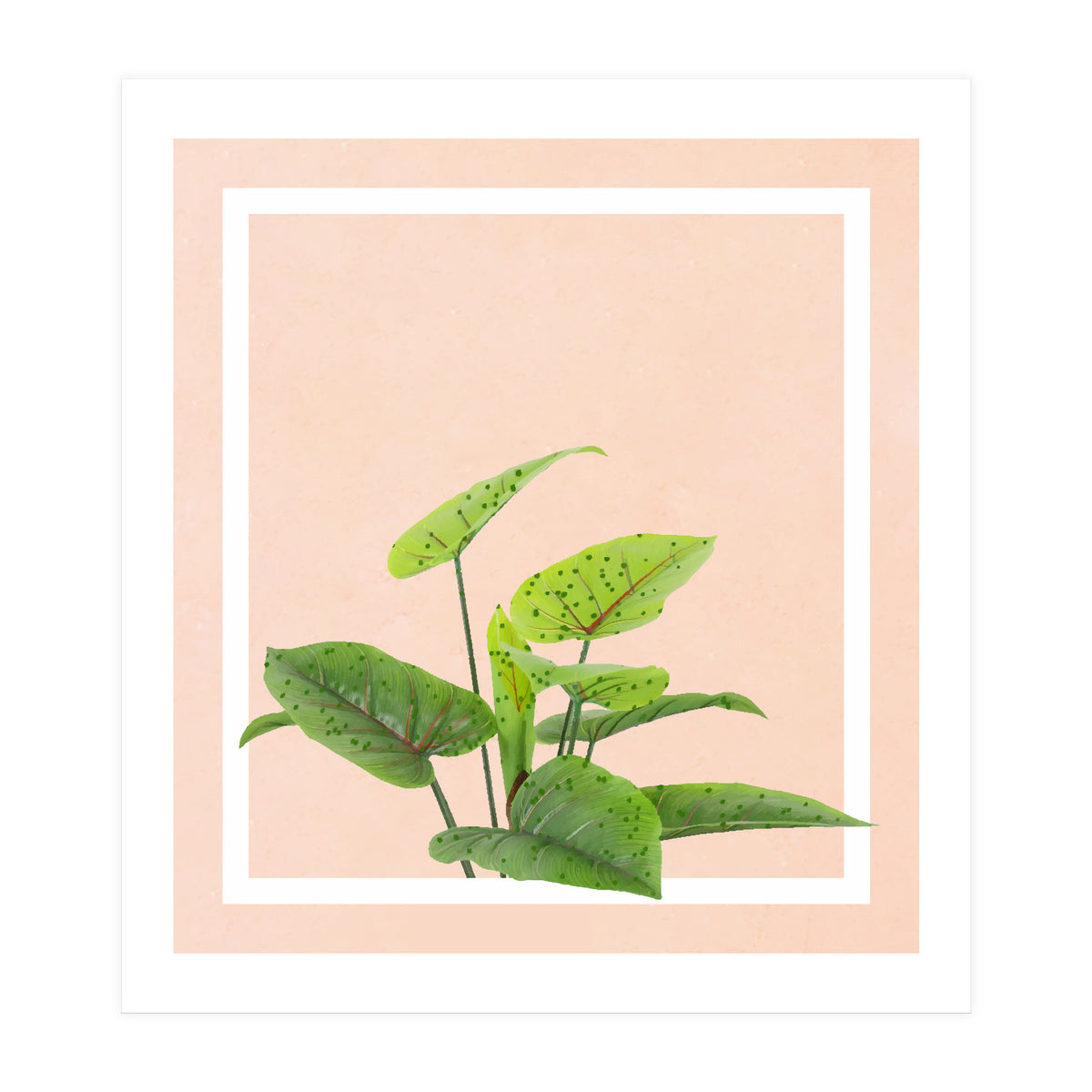 Botanical Art (Print Only)