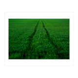 Track and Field (Print Only) thumbnail