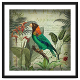 Tropical Bird Nostalgia thumbnail