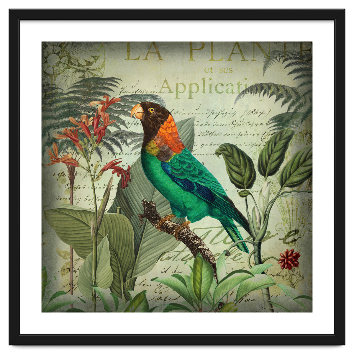 Tropical Bird Nostalgia