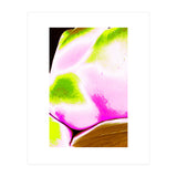 Lichen Hills (Print Only) thumbnail