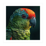 Close Up Colorful Parrot Bird Feather (Print Only) thumbnail