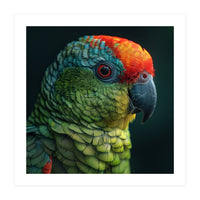 Close Up Colorful Parrot Bird Feather (Print Only)