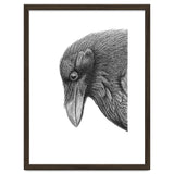 Huginn thumbnail