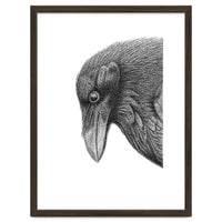 Huginn
