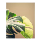 Dark And Light (Print Only) thumbnail