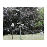 Signs at the corner of the street (Print Only) thumbnail