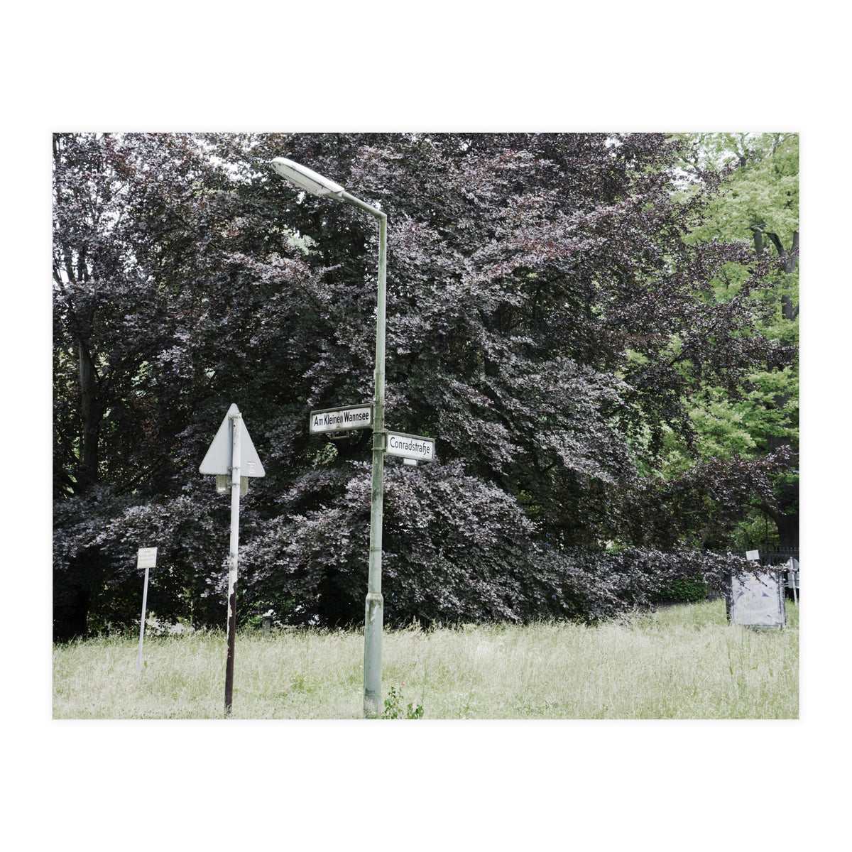 Signs at the corner of the street (Print Only)