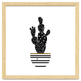 Black Cactus thumbnail